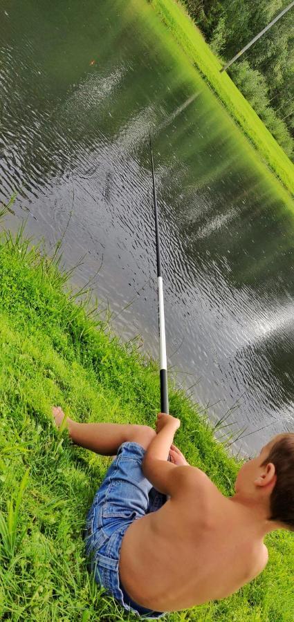 Hotel Orupohja Kaempingud Ja Telkimisala Põlva Zewnętrze zdjęcie
